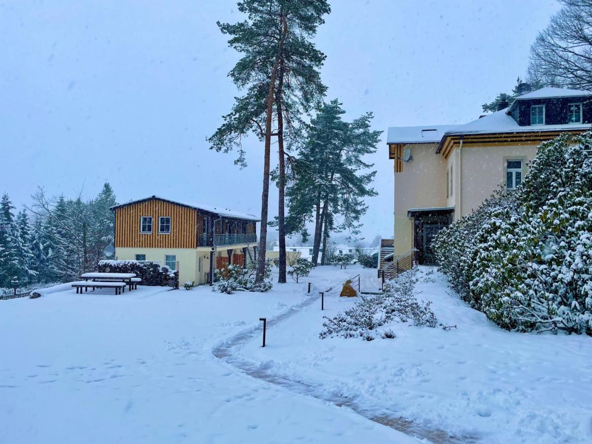 Waldidylle Gohrisch, Pension Und Ferienwohnungen 外观 照片