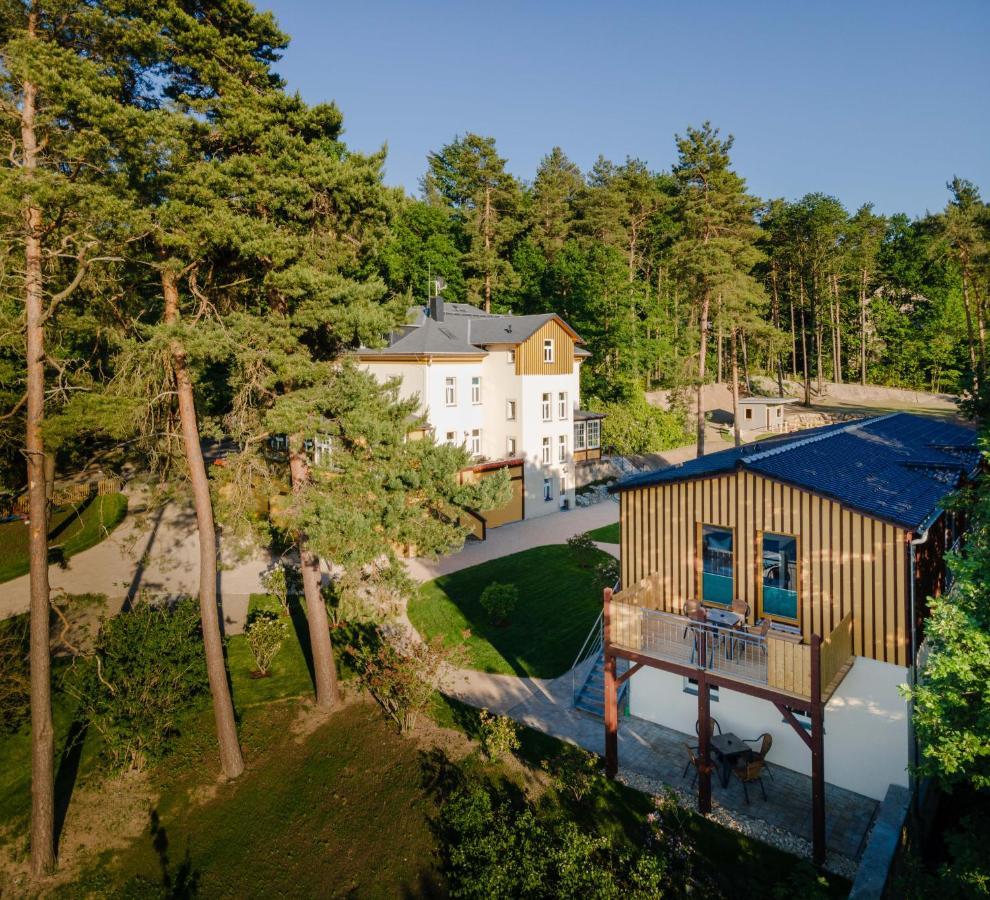Waldidylle Gohrisch, Pension Und Ferienwohnungen 外观 照片