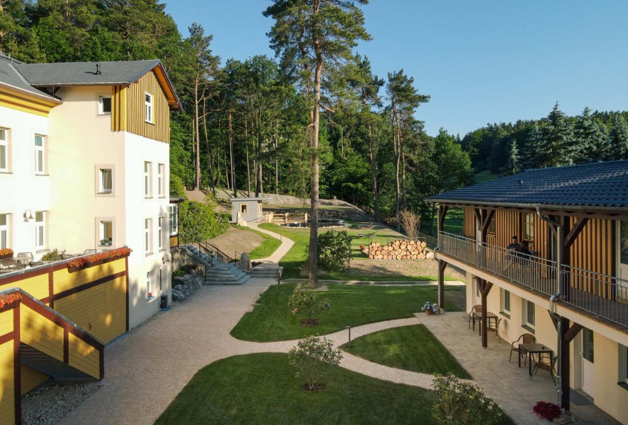 Waldidylle Gohrisch, Pension Und Ferienwohnungen 外观 照片