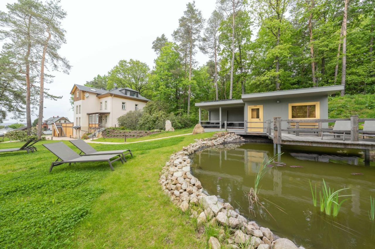 Waldidylle Gohrisch, Pension Und Ferienwohnungen 外观 照片